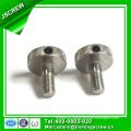 Cheese Head Special Stainless Steel Bolt